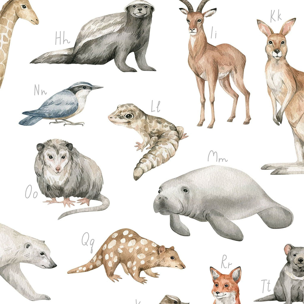 Entdecke wunderschöne Illustrationen im Aquarellstil von Känguru, Fuchs, Eisbär und weiteren Tierarten.