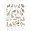 Tierwelt - Alphabet 1 - Aquarell Wandbild|Wildlife - Alphabet 1 - Watercolor mural