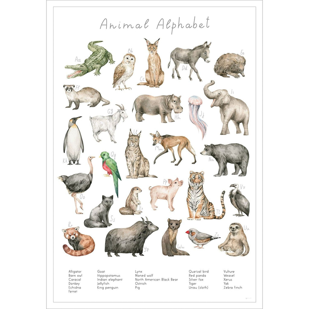 Entdecke die verschiedenen Tierarten der Welt auf diesem stilvollen Poster