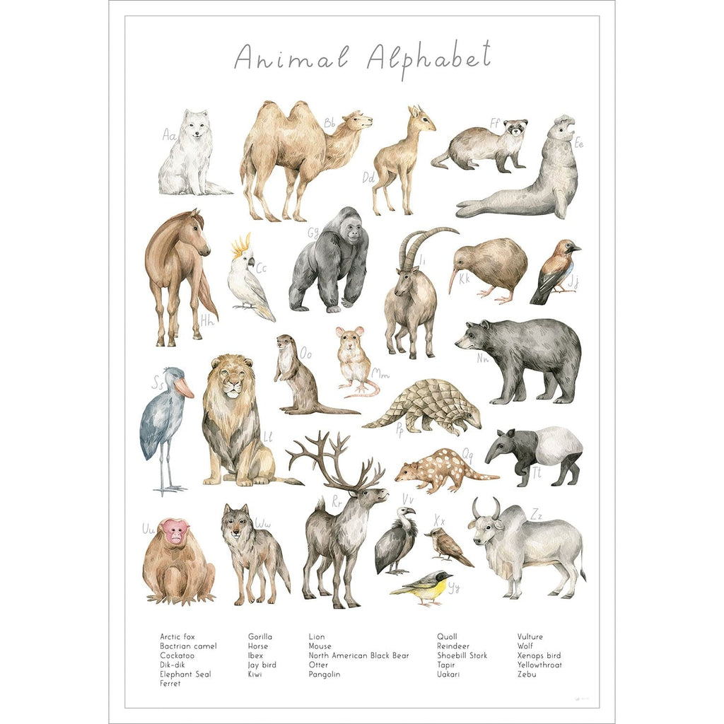 Entdecke die verschiedenen Tierarten der Welt auf diesem stilvollen Poster
