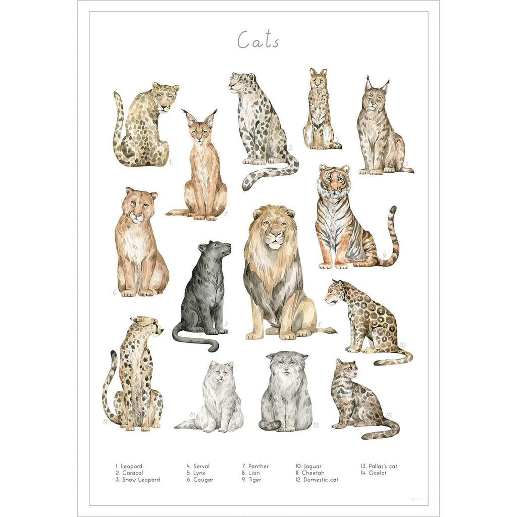 Entdecke die verschiedenen Katzenarten der Welt auf diesem stilvollen Poster.