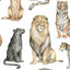 Entdecke wunderschöne Illustrationen im Aquarellstil von Löwen, Tiger, Leoparden und weiteren Katzenarten.