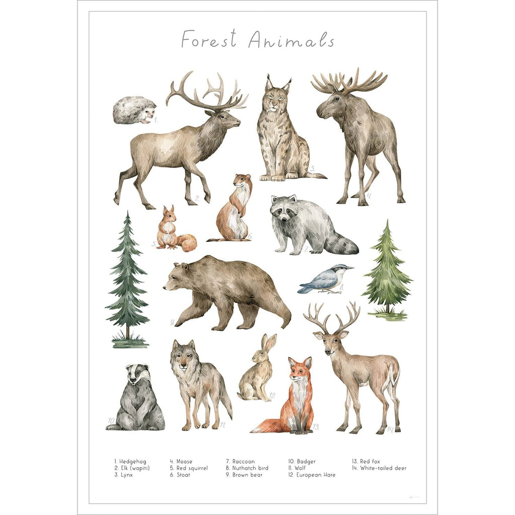 Entdecke die verschiedenen Tiere des Waldes auf diesem stilvollen Poster.